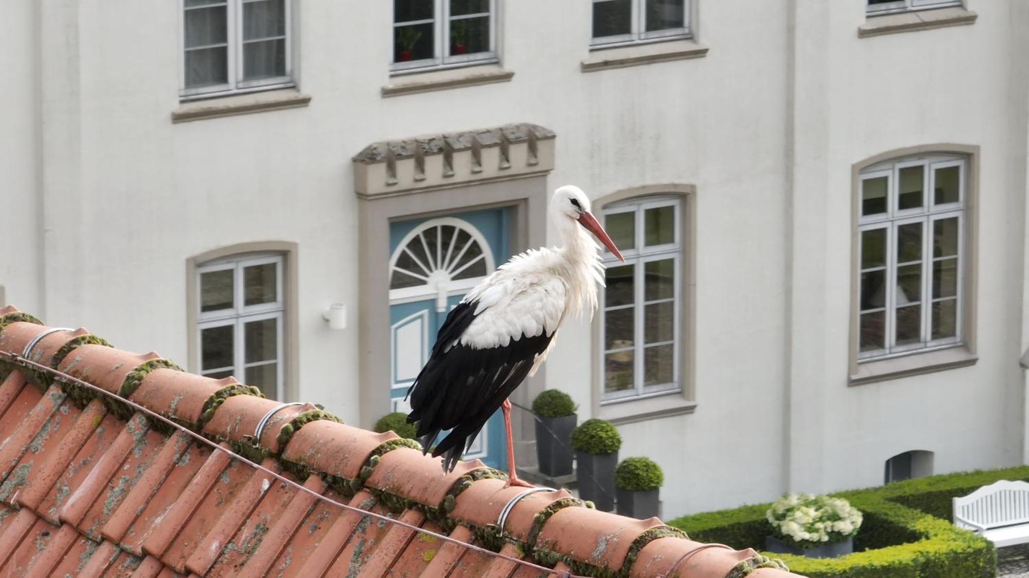 Hotel & Gaestehaus Gut Kaden Alveslohe 外观 照片